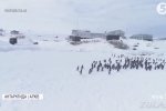 Антарктида перетвориться на Гренландію: вчені назвали наслідки глобального потепління