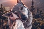 Ніби справжній вовк: дика кров та краса природи у неймовірних краєвидах