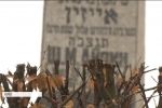 Проект меморіального центру "Бабин Яр": міжнародне журі обрало 10 фіналістів конкурсу