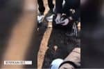 Посадовець Держвиконслужби погорів на хабарі у 2 тис. дол.
