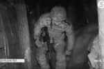 "Це по нас РПГ-7 прилетіло": який вигляд має нічний бій у передмісті окупованого Донецька
