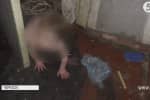 "4-летний мальчик бродил по улицам": в Черкассах обнаружили горе-мать – ужаснулись даже патрульные