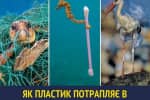 Супрун пояснила, як мікропластик потрапляє до нашого столу
