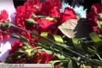 Сам виховував 8-річного сина: у Дніпрі попрощалися з бійцем 53-ї мехбригади