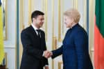 "Раздавите" олигархическую систему, – Грибаускайте в послании к Зеленскому