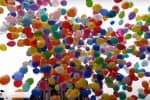 #Дульки_кулькам: вінницькі школярі започаткували флешмоб із закликом до випускників не запускати повітряні кульки