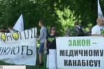 Біля Верховної Ради пройшла акція за легалізацію медичного канабісу: аргументи активістів – відео