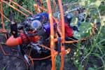 В Полтавской области в поле подсолнухов упал дельтаплан – есть погибшие