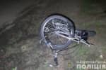 В Запорожье пьяный наркоман за рулем насмерть сбил двух велосипедистов