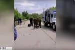 С оккупированных территорий вернули еще 64 заключенных – подробности