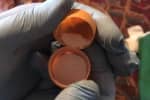 "Метадон под йогуртом": полиция Киева разоблачила сеть по продаже тяжелых наркотиков