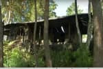 "Так акуратно пожежі не відбуваються": усі подробиці підпалу будинку Гонтаревої – сюжет