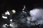 У Дніпропетровській області горіло 30 га трави