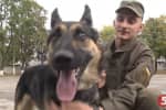 "Характер важкуватий": як безпритульний пес Томмі будує кар'єру в Нацгвардії
