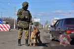 Следующая встреча советников "нормандской четверки" может состояться на линии разграничения