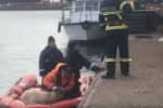 У Чорному морі біля Румунії перевернулося вантажне судно, що перевозило 14 тисяч овець – подробиці