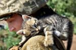 Собаки, "виховані" війною, і бойовий страус Федя: тварини й люди, які на фронті врятували одне одного