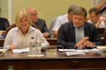 Депутати від "ЄС" Ірина Геращенко та Артур Герасимов – лідери в парламенті за результативністю роботи