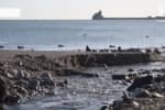 Вода для Криму: що про це думають кримчани та що мав на увазі "слуга народу"