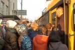 Водій автобуса викликав поліцію через кількість пасажирів: що відбувається в Києві
