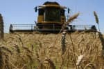 Ринок землі в Україні: які угіддя не продаватимуться і що зміниться для фермерів – заступник міністра