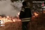 У зоні відчуження досі тліє трав'яний настил, пеньки та деревина – ДСНС