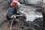 Спасатели продолжают ликвидировать пожары в Зоне отчуждения и Житомирской области – что известно