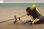 Готуються до пляжного сезону: у курортній Кирилівці водолази-сапери обстежили дно Азовського моря
