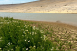 В Крыму в Межгорном водохранилище заканчиваются запасы воды