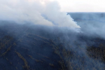 У мережі опублікували відео з наслідками пожеж на Луганщині