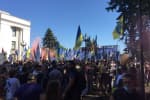 Евромайдановцы, учителя и школьники вышли отстаивать украинский язык – не обошлось без конфликта с полицией