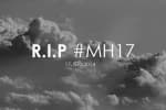 ПАРЄ: рейс MH17 був збитий російською ракетою "Бук", це "найпереконливіший сценарій"