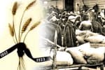 Сталінський "закон про 5 колосків": 83% засуджених до страти були найбіднішіми селянами