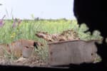 Ситуація на Донбасі різко погіршилася: окупанти збільшили кількість обстрілів, поранено бійця ЗСУ