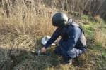 Польща планує навчати українських військових саперної справи