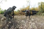 Українські й британські військові відпрацювали спільні тактичні дії – відео