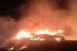 Авиакатастрофа под Чугуевом: о подозрении сообщено еще трем лицам