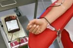 Медики вимушені обдзвонювати донорів: на Запоріжжі вкрай бракує крові рідкісних груп – що відомо