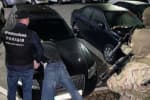 Пытали и требовали $2 миллиона: под Киевом похитили предпринимателя