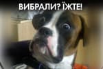 Другий тур виборів: чому не спрацювали екзит-поли – "Час Ч"
