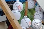 Іграшки з логотипом армії Росії на українській фабриці – подробиці конфлікту