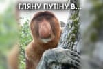 Нормандський рік Зеленського: просто перестати стріляти не вийшло – "Час Ч"
