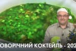 Итоги 2020 года и Новогодний коктейль от Романа Чайки – "Час Ч"
