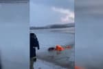 Спасатели вытащили собаку, провалившуюся под лед