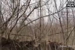 "Три орудия бьют": в Сети появилось видео, как оккупанты РФ обстреливают украинские позиции на Донбассе