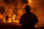 У Ризі внаслідок пожежі у нелегальному хостелі загинуло восьмеро осіб, є потерпілі