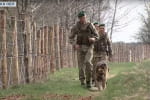 "Загострень немає": прикордонники розповіли про ситуацію вздовж кордону з Білоруссю