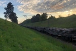 Переходила пути в неустановленном месте: во Львовской области грузовой поезд сбил насмерть женщину 