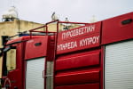 На Кипре из-за лесных пожаров погибло 4 человека