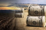 Земля – товар: хто та на яких умовах зможе купити
